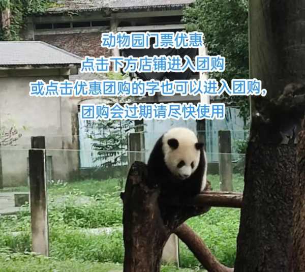 沙家浜沙水龙酒楼团购门票_如何获取最佳优惠？