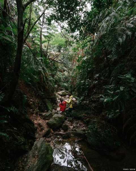 野人谷天气_近期天气预报及旅游建议