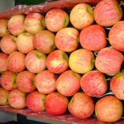 fresh果果_让你每天都能享受新鲜美味!