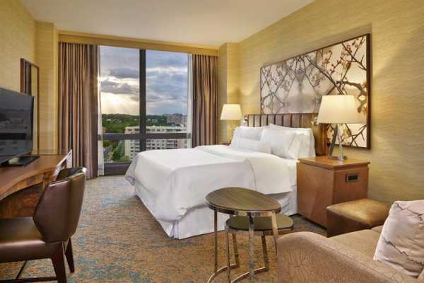 hotel king_如何选择理想的豪华酒店