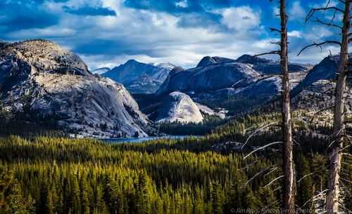 tioga_探索其独特魅力与风景