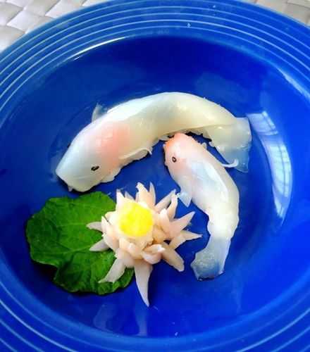 活鱼寿司_新鲜美味的海鲜盛宴