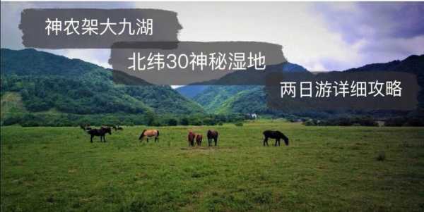 待渡山_探秘这片仙境的最佳攻略