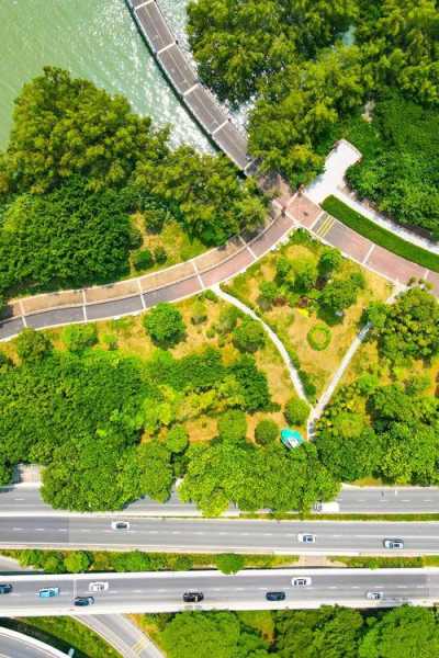深圳大沙河公园_适合家庭游玩的绿色空间