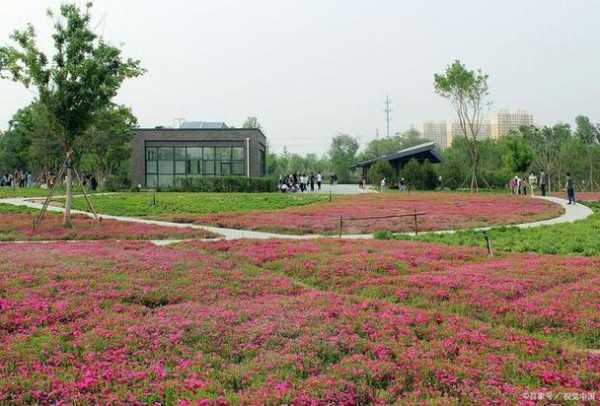 宝鸡旅游景点_有哪些值得一游的好地方?