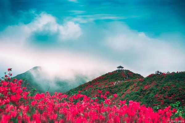 杜鹃山_最佳旅游攻略与景点推荐