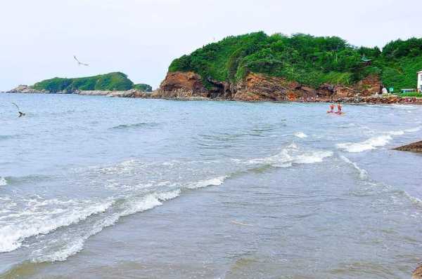 獐岛旅游_探索这个海岛的魅力与隐秘