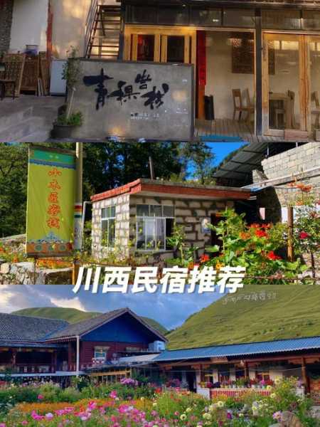 白鹭宾馆_优雅住宿体验推荐