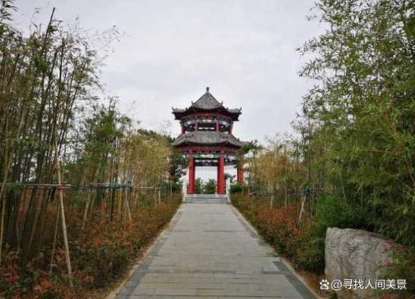 花家怡园_探寻隐藏在城市中的宁静绿洲