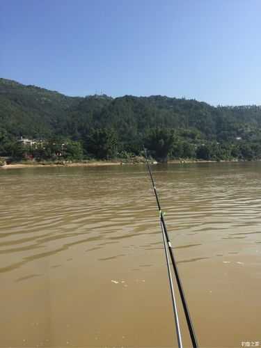 什么天气钓黄颡鱼好_最佳温度与时机分析