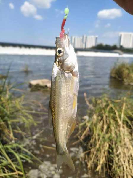 天气闷钓翘嘴_如何选择最佳钓点?