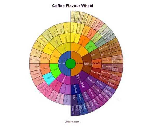 coffee bene_探索咖啡文化的秘密