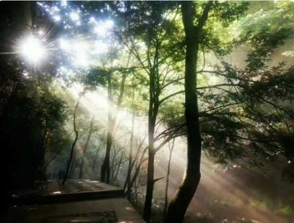 商南金丝大峡谷天气_今日天气怎样?