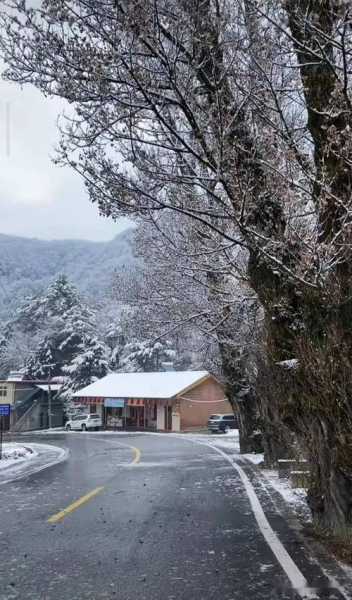 秦岭鸡窝子天气预报_即将迎来怎样的气候变化？
