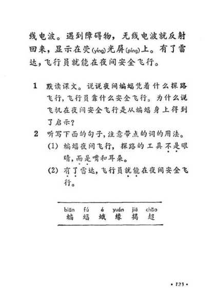icn是哪个国家_揭开国际代码的秘密