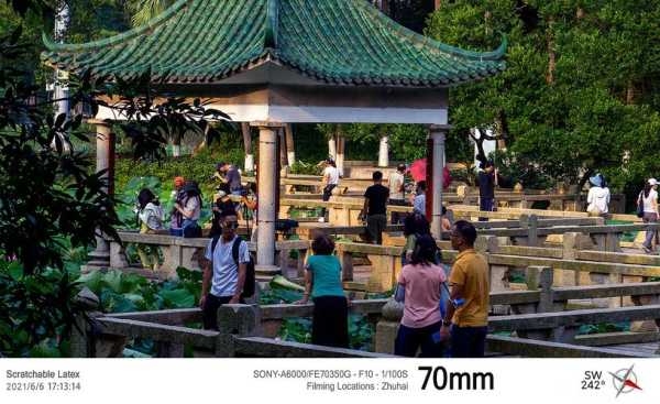 唐家共乐园_探寻乐园的独特魅力与乐趣