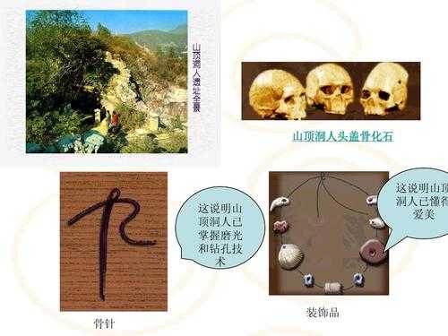 子房洞_为何它成为人们关注的焦点?