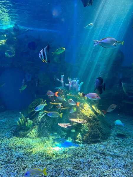 徐州云龙湖水族馆_探秘水下世界的奇妙旅程
