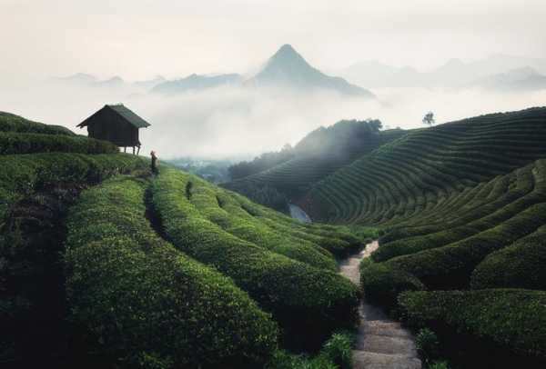 旌德县旅游景点_探索最美的自然与人文魅力