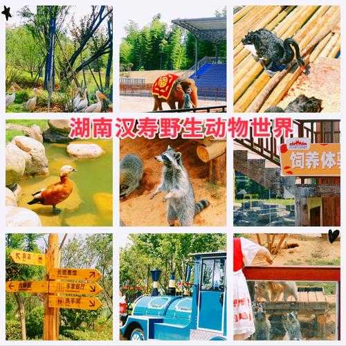 汉寿野生动物园_探索自然与野生动物的奇妙之旅