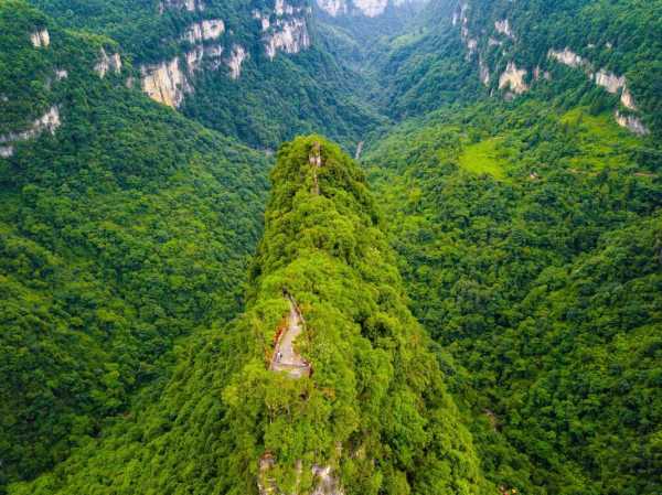 油杉河风景区_探寻绝美自然秘境
