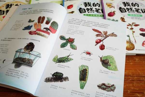 药师寺天膳_探索健康饮食的秘密