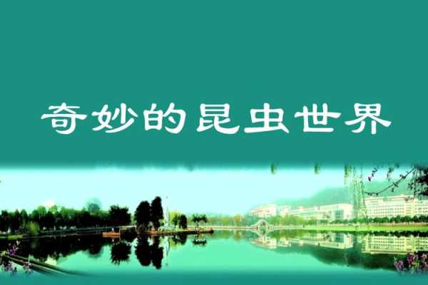 虫虫乐园_带你探索奇妙的小昆虫世界