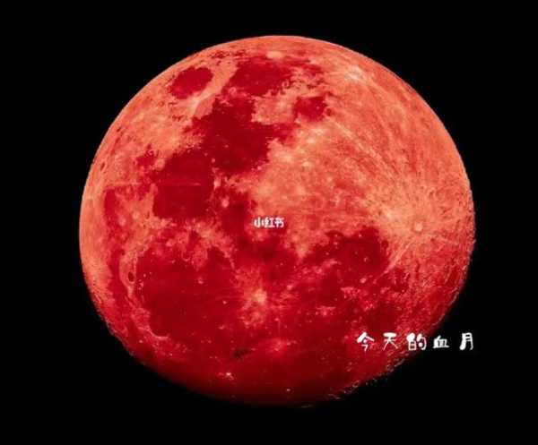 血月为什么不能拍照_拍照对观测有何影响？