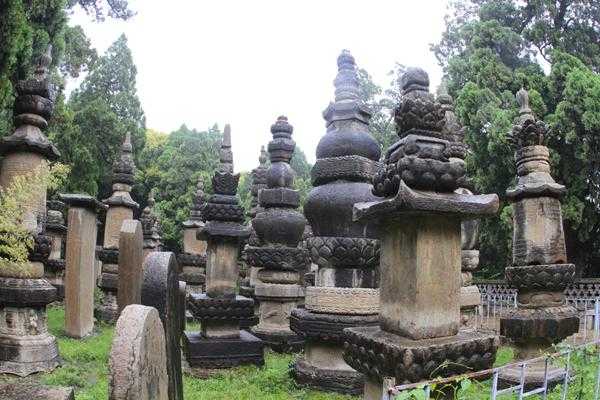 钟灵寺_探访千年古刹的历史与文化