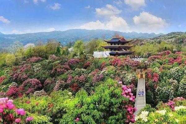 2017药王谷旅游攻略_最全游玩指南与注意事项