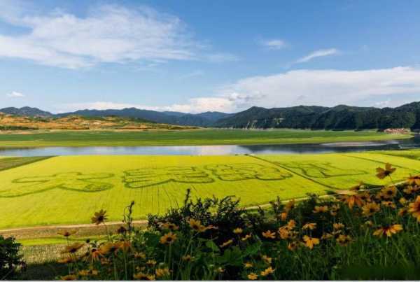 丹东绿江旅游攻略_最佳旅游路线与注意事项