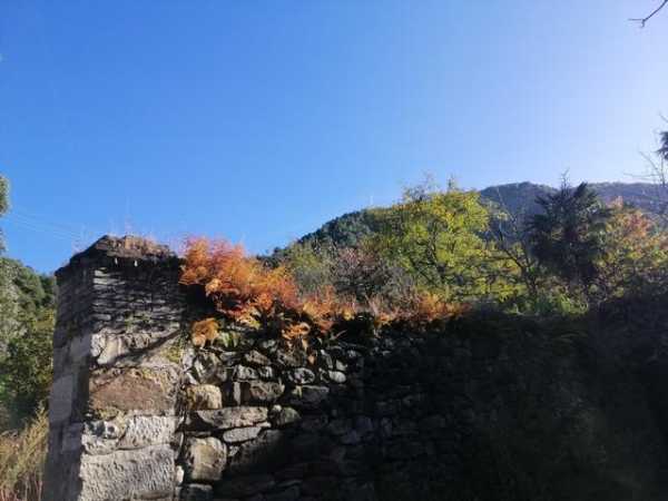 云南凤羽旅游攻略_玩转这个神秘之地的必备指南