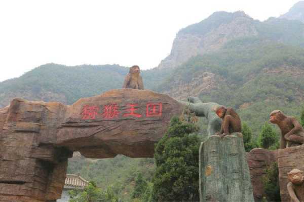 五龙口猴山旅游攻略_怎么玩才能玩得尽兴？