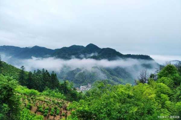 十万大山旅游攻略_探索自然之美和秘境