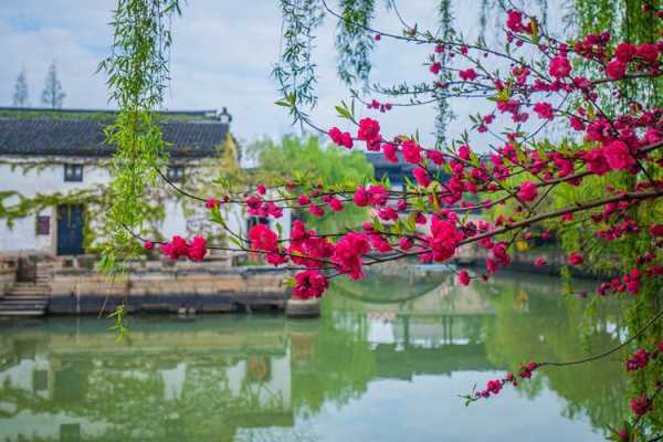 嘉兴梅花州旅游攻略_最佳游玩时间与景点推荐