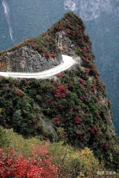 大巴山旅游攻略_探索隐藏的自然美景