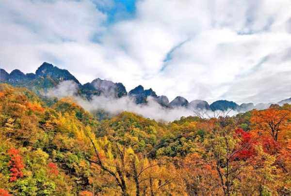 大邑光雾山镇旅游攻略_探寻绝美自然风光与文化魅力