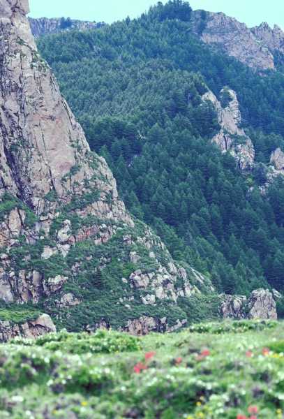 太原到芦芽山旅游攻略_最佳游玩路线与建议