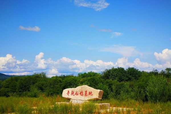 奇乾旅游攻略_畅游奇乾的必备指南