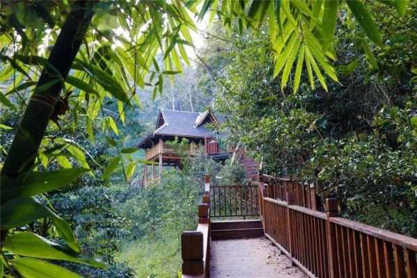 布朗山旅游攻略_带你畅游这片神秘的山域