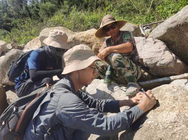 广东担杆岛旅游攻略_必看景点与实用小贴士