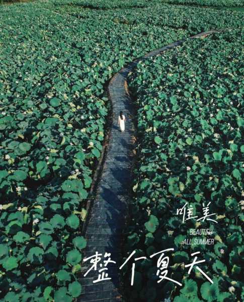 广昌县旅游攻略_畅游江西人文与自然之美