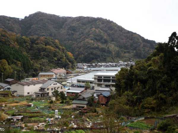 日本伊根町旅游攻略_怎么玩才能更尽兴?