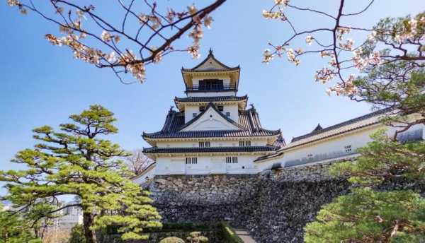 日本高知县旅游攻略_必去景点与美食推荐