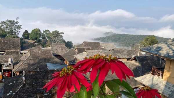 景迈山旅游攻略_必备信息与小贴士