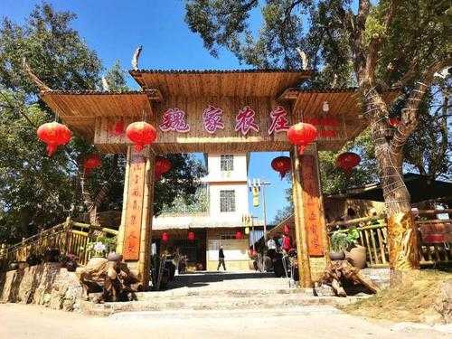 桂山岛旅游攻略_适合家庭出游的农家乐推荐