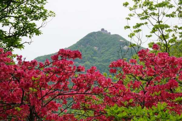 桐柏山旅游攻略_让你畅游山水之美
