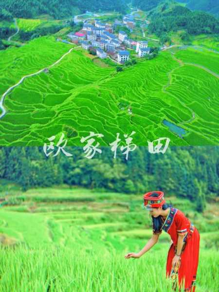欧家梯田旅游攻略_最佳游览时间与注意事项