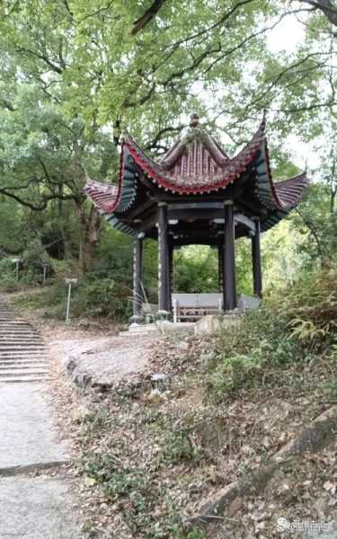 温州山福镇旅游攻略_必玩的景点和活动推荐
