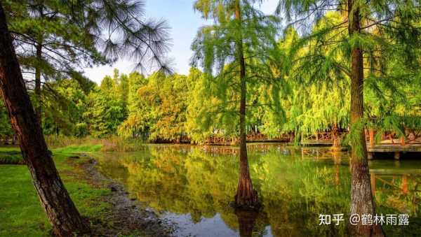 湘家荡旅游攻略_玩转湘家荡的必备小贴士